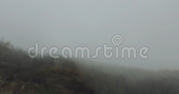 秋天的背景阴郁的森林靠近他山上有雾或云视频的预览图