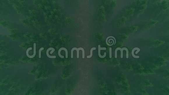 绿色森林从顶部视频的预览图