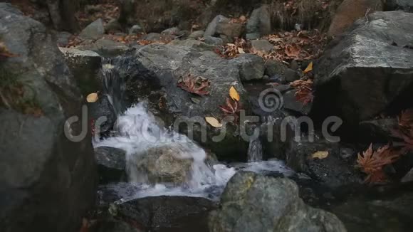 水流落在满是秋叶的石头间视频的预览图