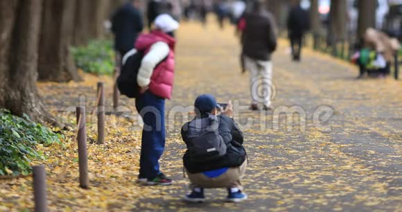 秋天在东京的银杏街散步视频的预览图