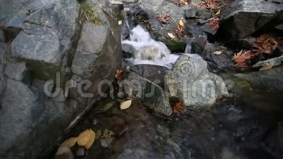 秋天的树叶散落在石头间的山河瀑布视频的预览图