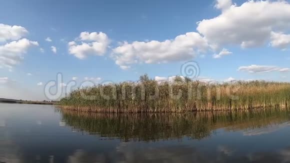 芦苇覆盖的湖岸和蓝色的水视频的预览图