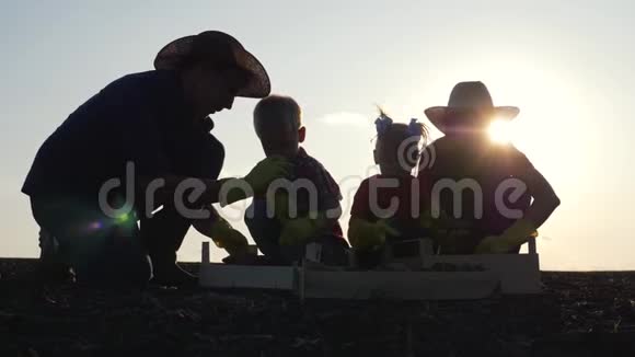 家庭幸福收获团队合作日落时分一家人在田野里收获土豆农业经营理念农场视频的预览图