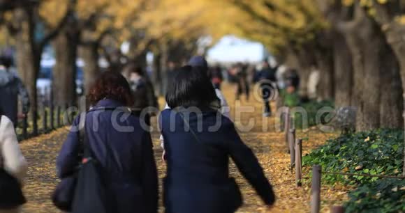 秋天在东京的银杏街散步视频的预览图
