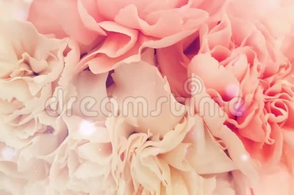 粉色浪漫的花爱情人节视频的预览图