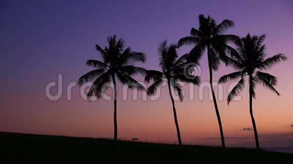 日落时分女孩穿过椰子树视频的预览图