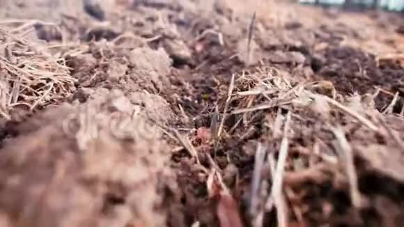 相机在易碎干燥秋季土壤上的平稳移动视频的预览图