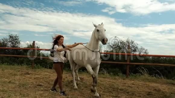 带着一匹马在户外上课一个女人教一匹种马背视频的预览图