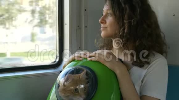 女孩抱着猫背包和舷窗坐火车旅行视频的预览图