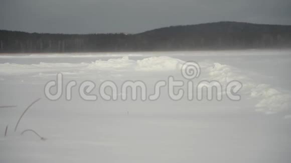 晴天的暴风雪在田野里田野上的雪晴天视频的预览图