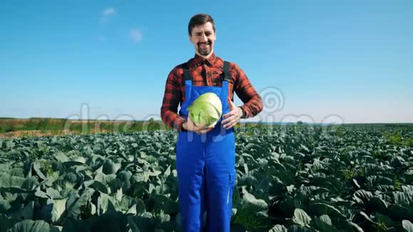 农学家专业的农民拿着一棵卷心菜的时候正微笑着视频的预览图