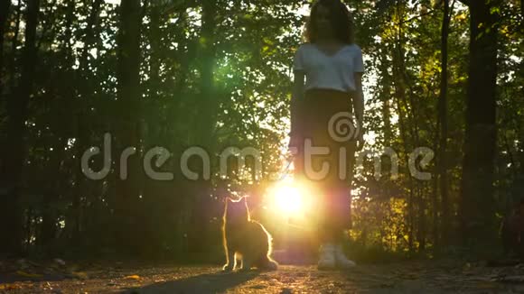 女孩用皮带抱着猫关上阳光穿透树木视频的预览图