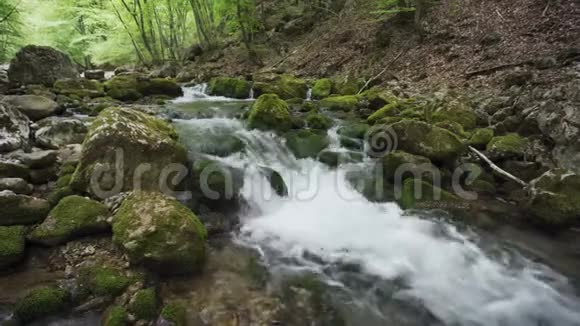 苔藓覆盖的石头和岩石沿着水流穿过绿色的夏季森林视频的预览图
