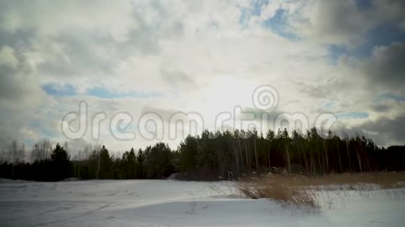 晴天的暴风雪在田野里田野上的雪晴天视频的预览图