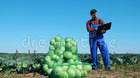 农业技术人员正拿着笔记本电脑站在包里包着卷心菜视频的预览图