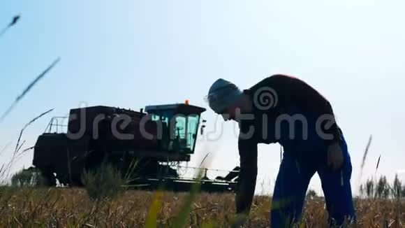 农业工人正在观察一缕小麦视频的预览图