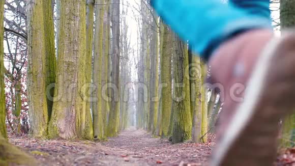 一个旅行者正沿着森林里的一条路走附近有高大的树视频的预览图