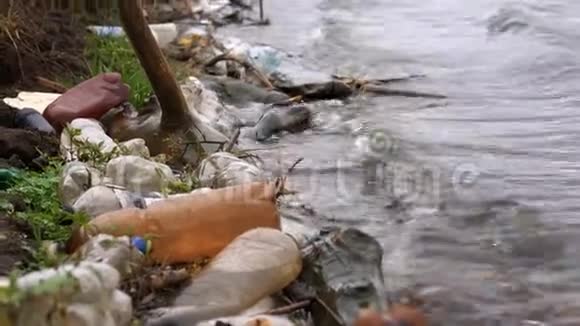 池塘沿岸的塑料瓶和其他不可降解废物视频的预览图