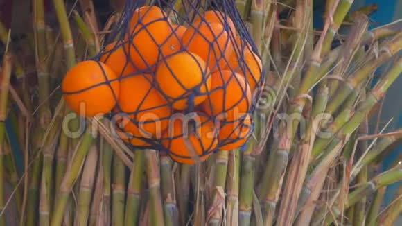 甘蔗和橘子视频的预览图