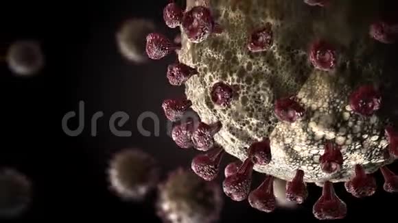 电晕病毒即SARS病毒2病毒Covid19的可视化视频的预览图