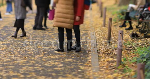 秋天在东京的银杏街散步视频的预览图