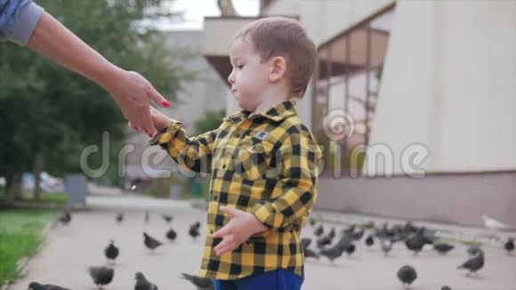 快乐的孩子给鸟儿喂面包鸽子在背景中飞翔一个小男孩在空中向他奔跑幸福家庭视频的预览图