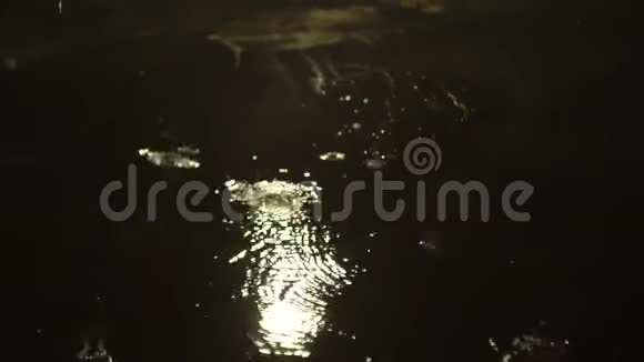 水滴从天花板缓慢地落到潮湿的地板上雨中街道沥青上的水坑视频的预览图