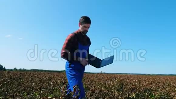 手提电脑的农学家正沿着褪色的种植园散步死旱田的农业植物视频的预览图