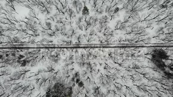 公园的顶部景观冬天有树木人们沿着它散步视频的预览图