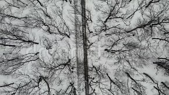 公园的顶部景观冬天有树木人们沿着它散步视频的预览图