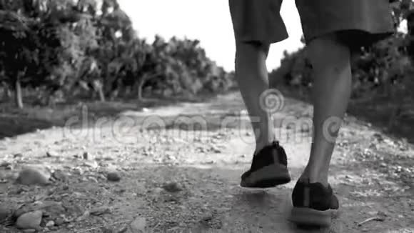 为了保持身体健康亚洲老人在公园里慢跑保健概念视频的预览图