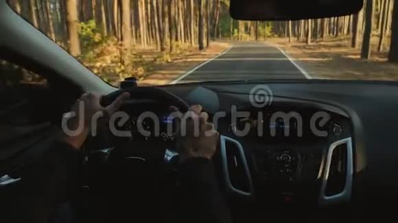 一个人开车在穿过松林的路上视频的预览图