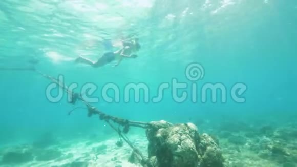 少女正在海底与珊瑚礁浮潜并在电话上拍摄海洋生物的照片水下拍摄视频的预览图