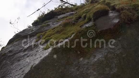 水滴落在岩石和苔藓上在春天融化了山上的雪缓慢的运动从岩石和苔藓上射出视频的预览图