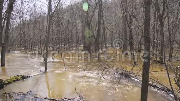 春季森林中的高水位河流洪水后淹没了树木视频的预览图