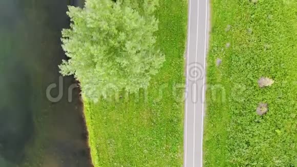 空中飞行在沿着湖的小路上在她的人民身上视频的预览图