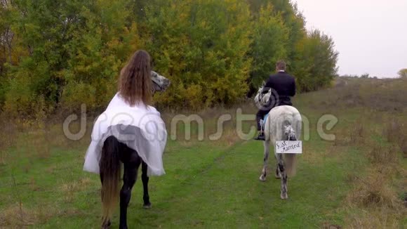 男女骑两匹马刚结婚后景视频的预览图