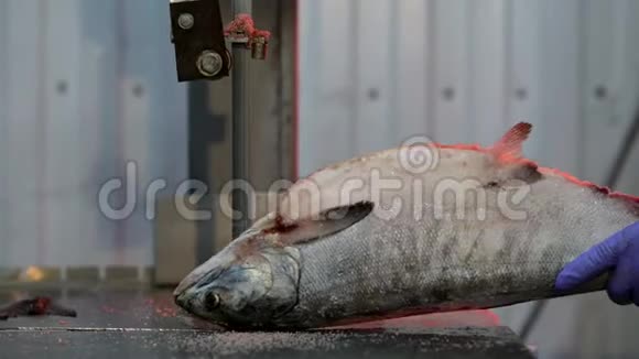 鱼厂切锯冷冻海鲜片视频的预览图