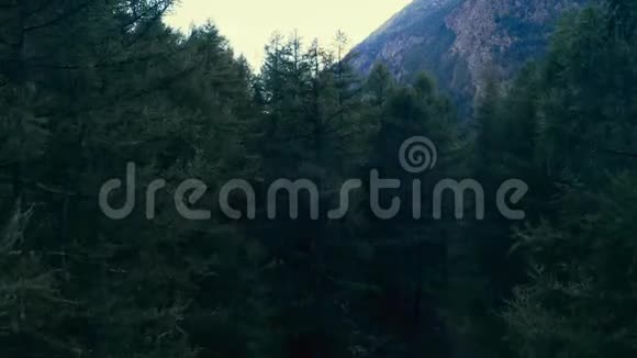 山出现在松木后面视频的预览图