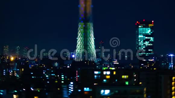 东京市区天树的夜间延时倾斜变焦视频的预览图