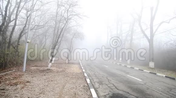 雾蒙蒙的秋林中漆黑阴沉的汽车路视频的预览图