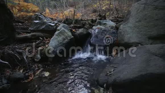 秋天森林里的山河瀑布视频的预览图