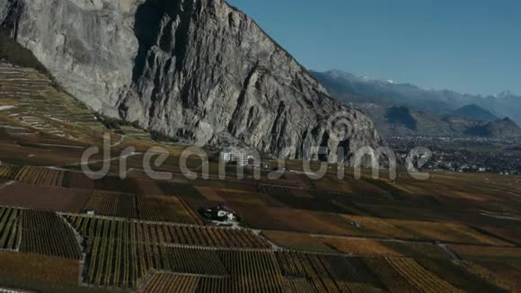秋天飞过葡萄园的田野背景是山脉收获期视频的预览图