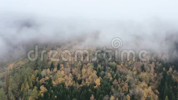 雾在群山之间翻滚笼罩着秋色的树木视频的预览图