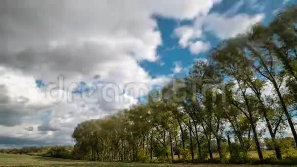 一片草地上快速移动的云视频的预览图