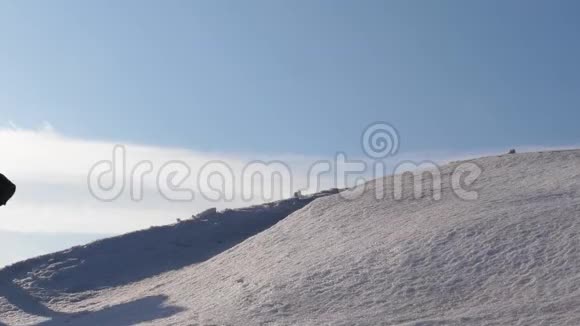 旅行者手牵着手在大风的雪上坡上获胜冬天的游客作为团队一起工作视频的预览图