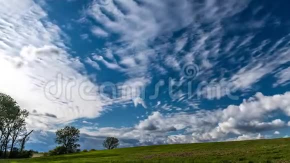 天空中快速移动的云在草地上随着高树的流逝视频的预览图