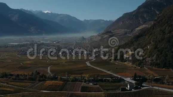 秋色的葡萄园田野城市和群山的背景视频的预览图