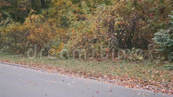 职业自行车骑在黑色运动服和头盔骑在道路自行车在秋季城市公园男子公路自行车强化训练视频的预览图