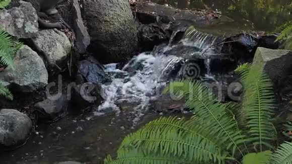 水流带小人造瀑布视频的预览图